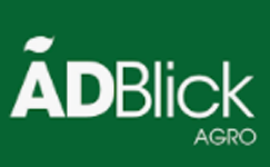 Adblick